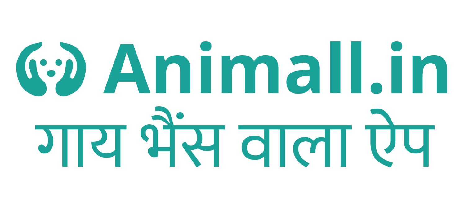 Animall Logo